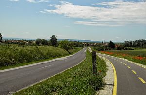Nem mindenhol újult meg a kerékpárút-hálózat a Fertő tó magyar oldalán