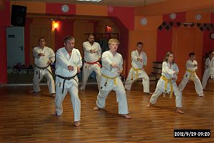 Sopron-fertdi kzs karate edzs