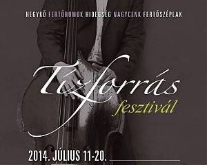 Tzforrs Fesztivl 2014